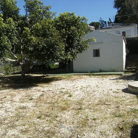Stellino Alcamo
